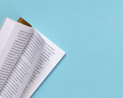 A flat-lay of an open manuscript on a wooden desk, with a red pen resting across the pages and handwritten editorial notes visible in the margins.