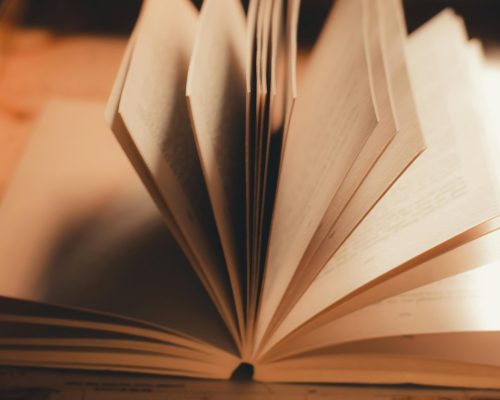 An editorial report document laid open beside a manuscript, with a cup of tea and a notebook in the background. The scene evokes a professional but warm editorial process, ideal for write