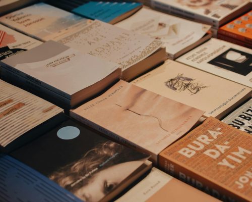 How to self edit a novel guide showing a revision roadmap for improving structure, character development, pacing, prose clarity, and themes before professional editing.